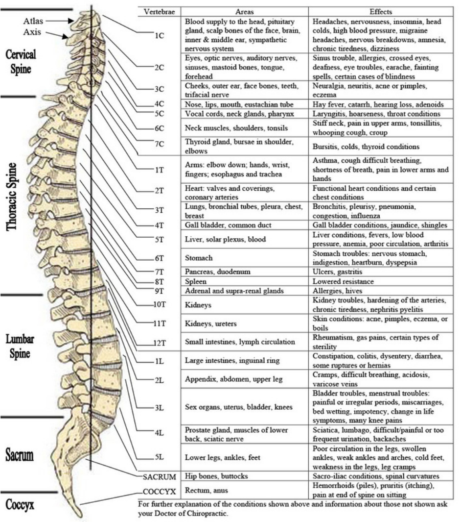 Chart of Effects of Spinal Misalignments